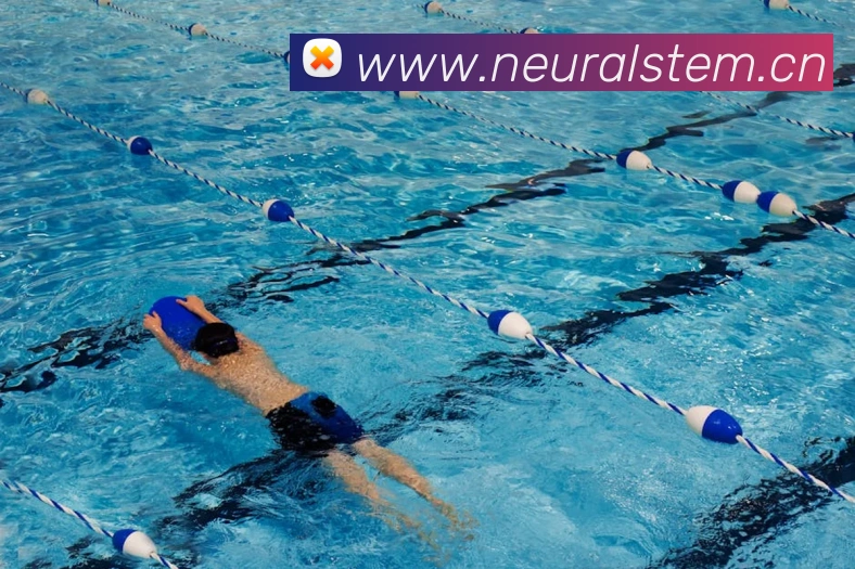 环球体育官网首页入口平台生态图