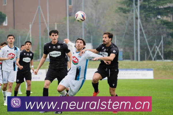 环球体育官网首页入口全站App 环球体育官网首页入口全站App