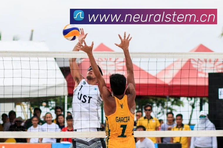 辅助工具 辅助工具